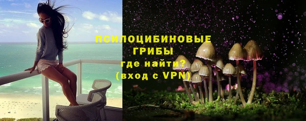ECSTASY Медногорск