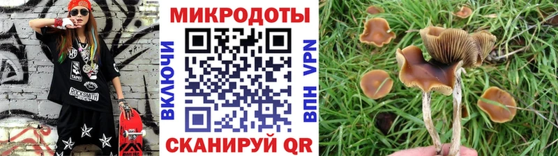 Галлюциногенные грибы ЛСД  где можно купить   Томилино 